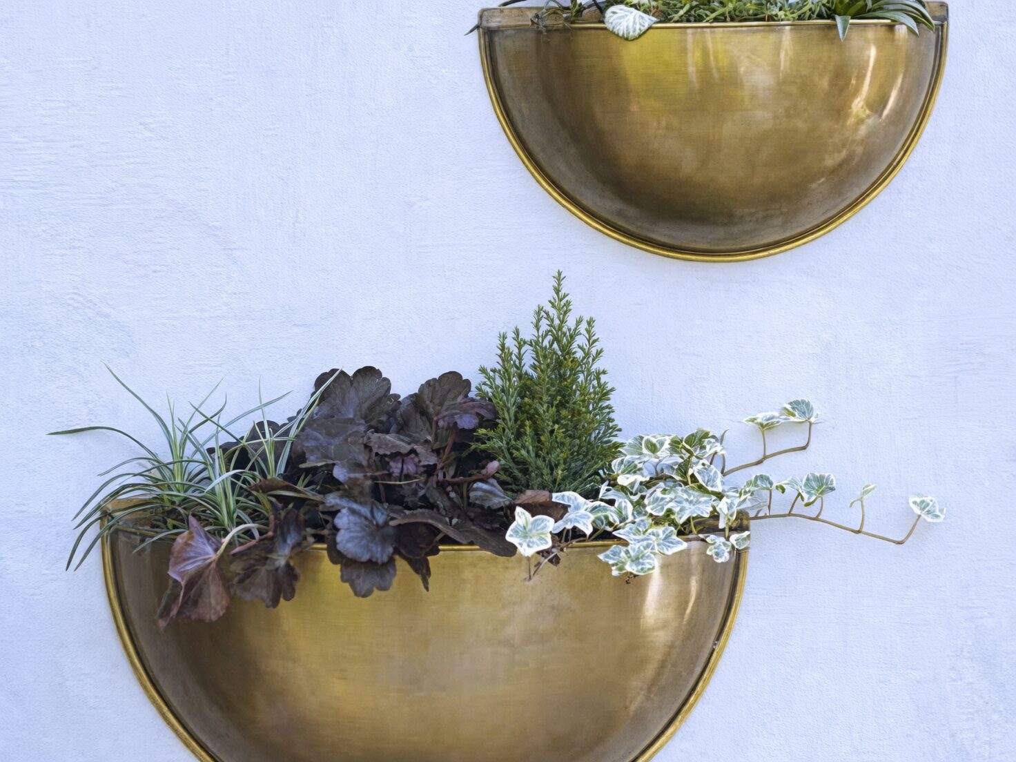 pineapple plant brass planter dark wall
