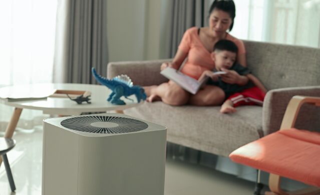 fern near air purifier window