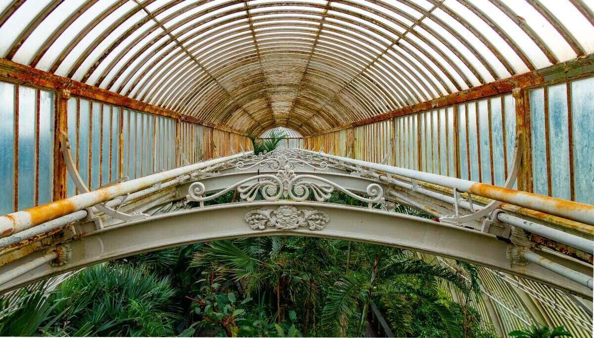 succulents Victorian greenhouse