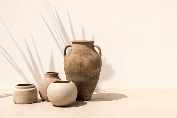 begonia masoniana clay and ceramic pots
