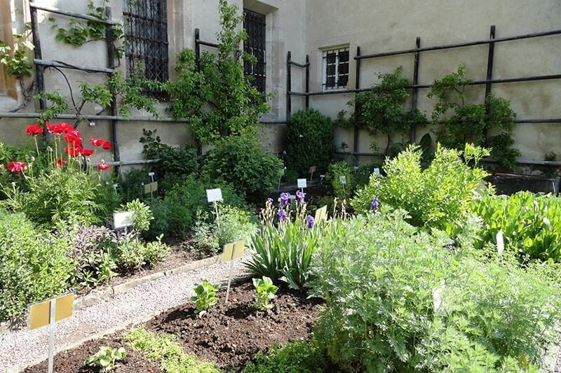 peppermint monastery herb garden