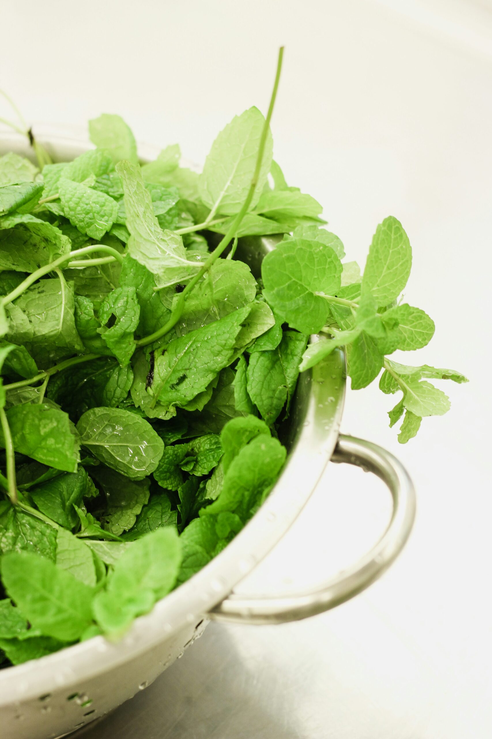 peppermint leaves washing in bowl