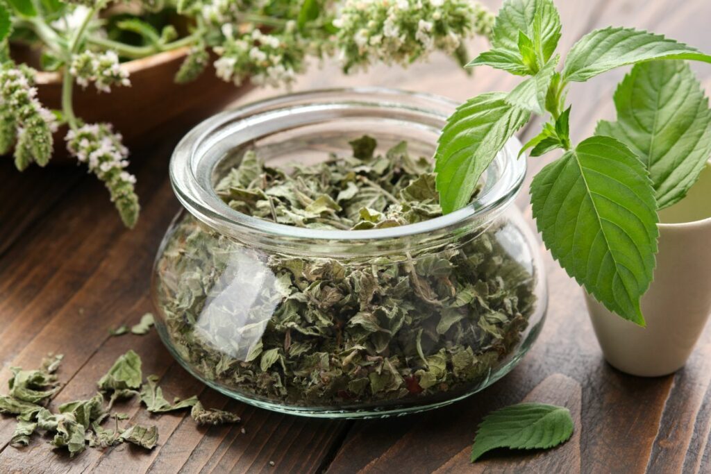 peppermint leaves drying on rack