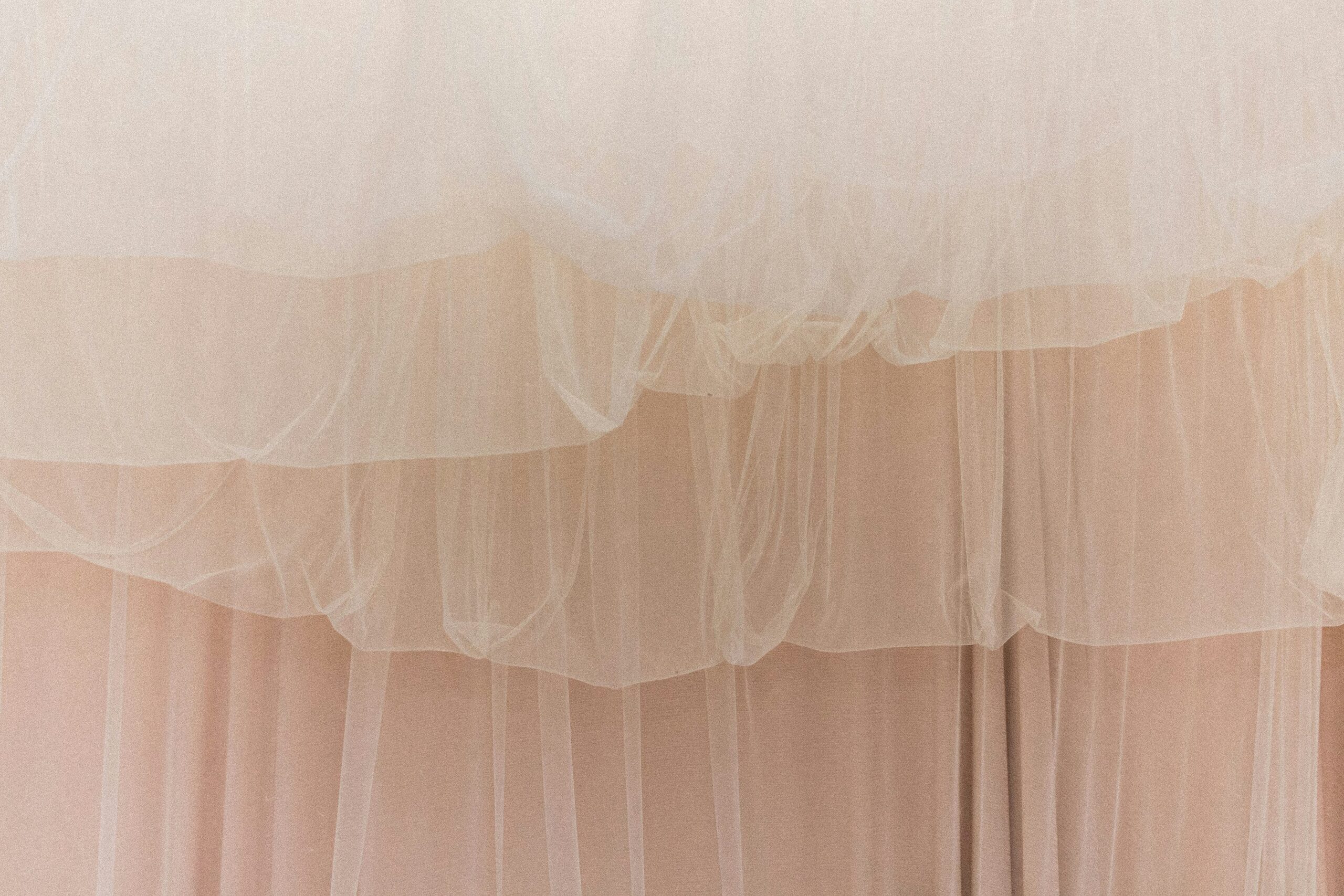 flaming sword bromeliad bright window sheer curtain