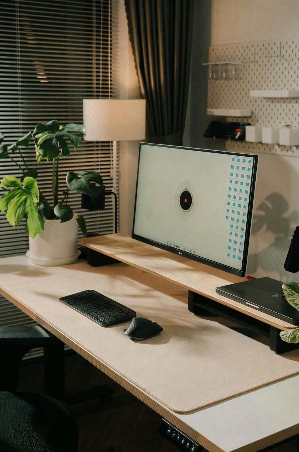 flaming sword bromeliad office desk setup
