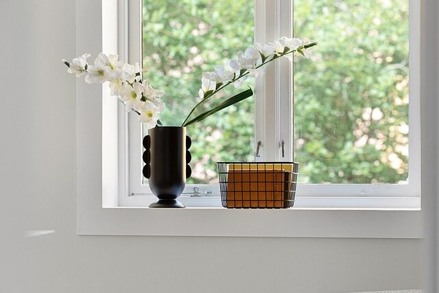 Vriesea splendens window shelf display