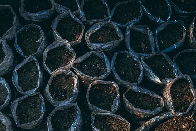 Vriesea potting mix bark perlite