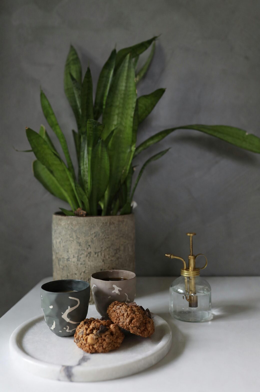 mini phalaenopsis transparent pot matte ceramic