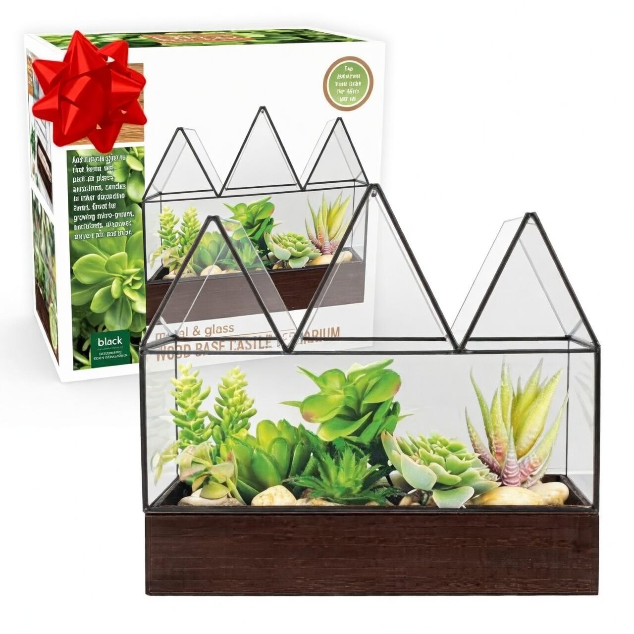 sand castle cactus glass cabinet display
