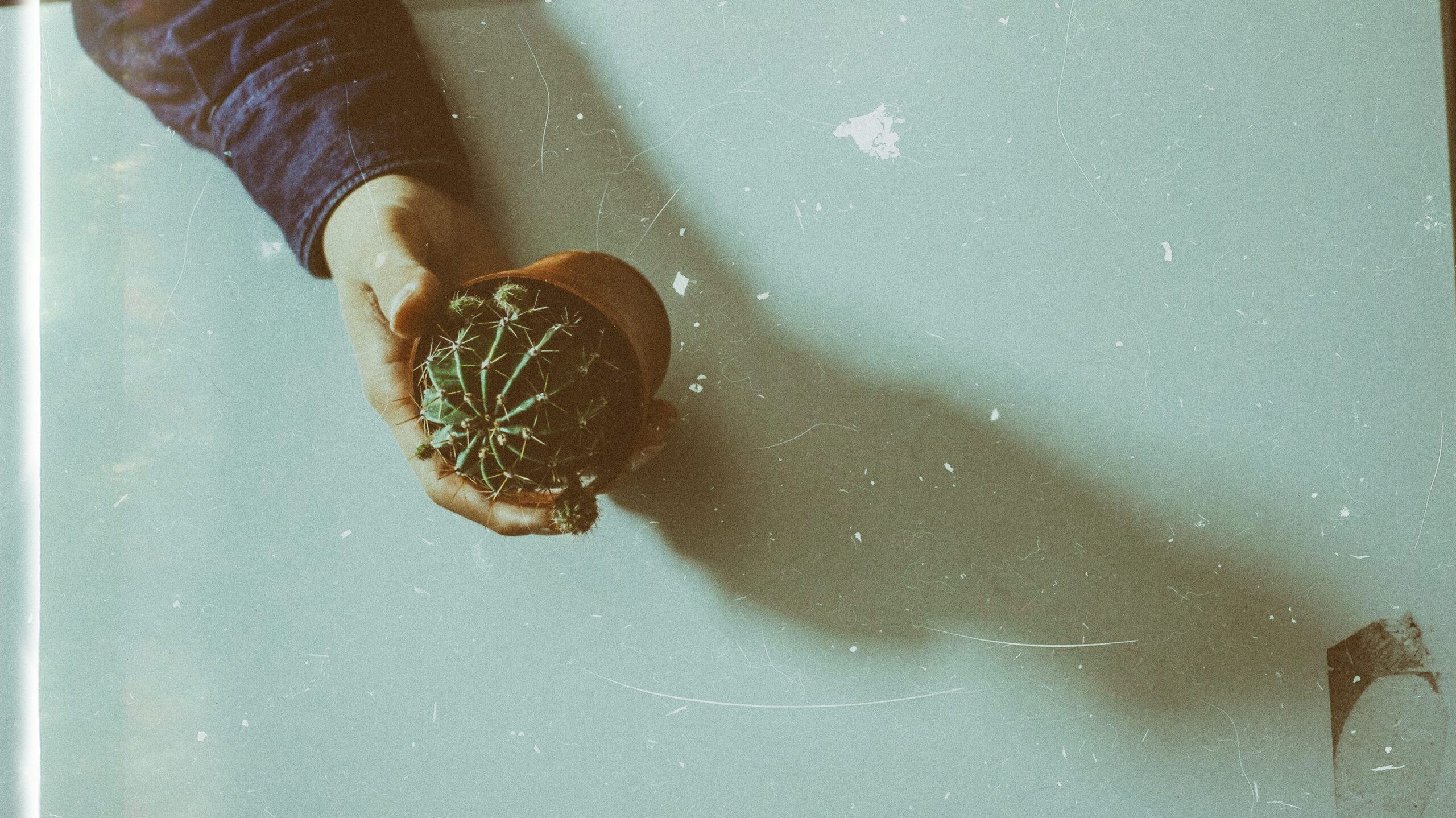 sand castle cactus handling gloves tongs
