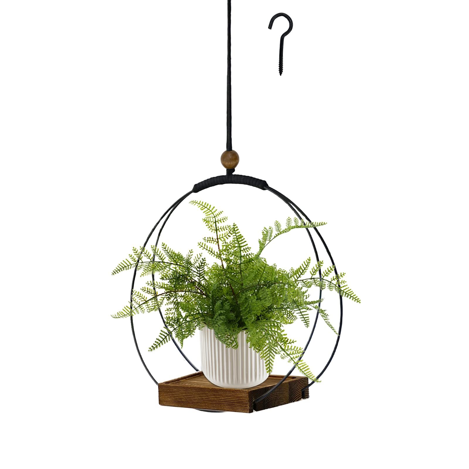 polka dot plant hanging planter ceiling