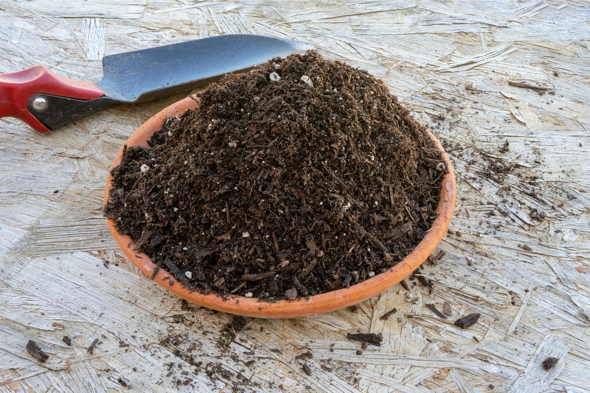 calathea lancifolia soil mix perlite
