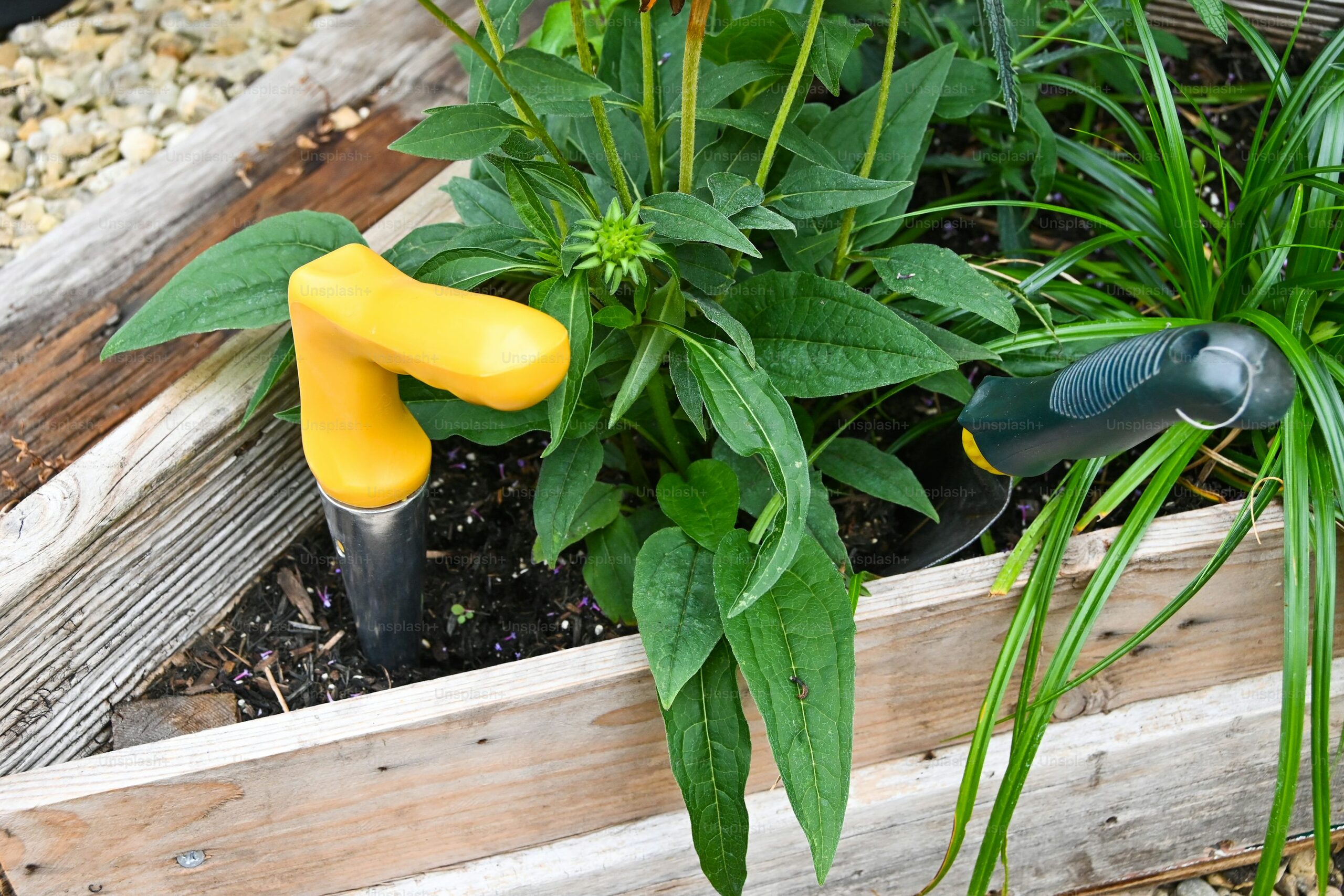 raised garden bed gravel drainage