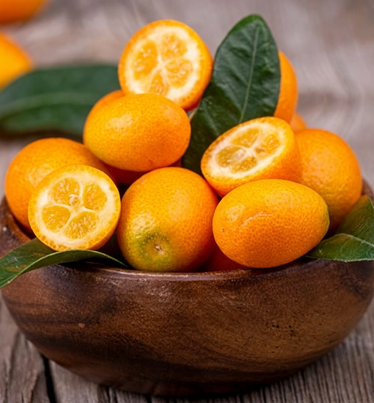 nagami kumquat meiwa fruits