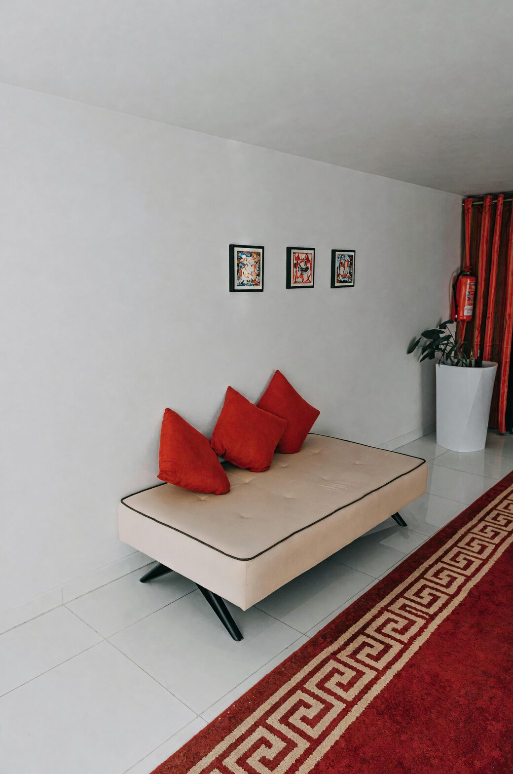 red anthurium modern living room