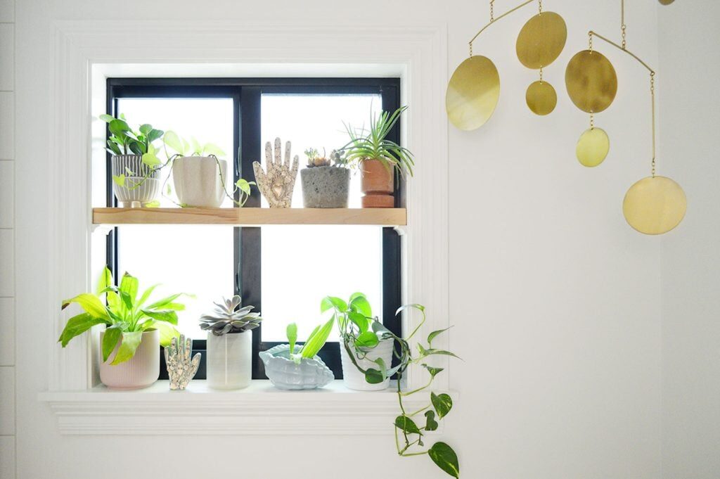 anthurium bathroom window shelf
