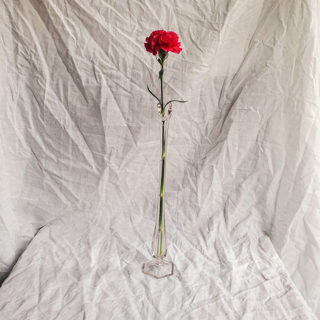 anthurium single stem glass vase