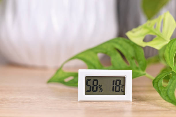 anthurium thermometer hygrometer window