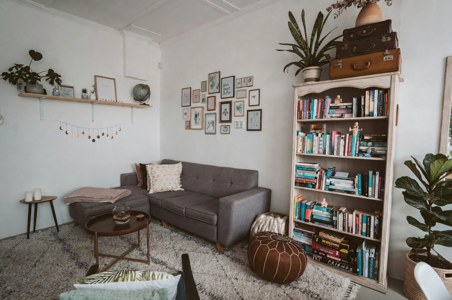 anthurium high shelf living room