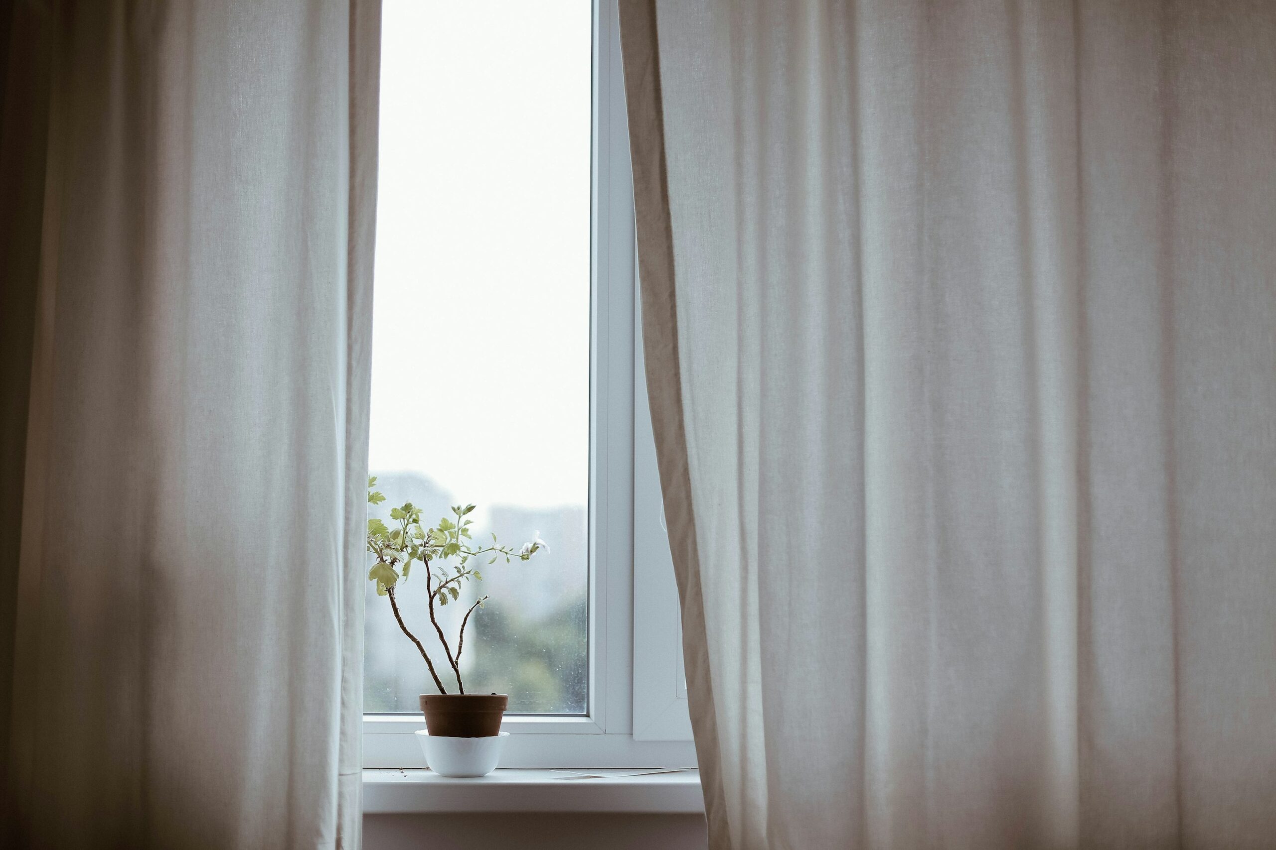 vicks plant east window sheer curtain