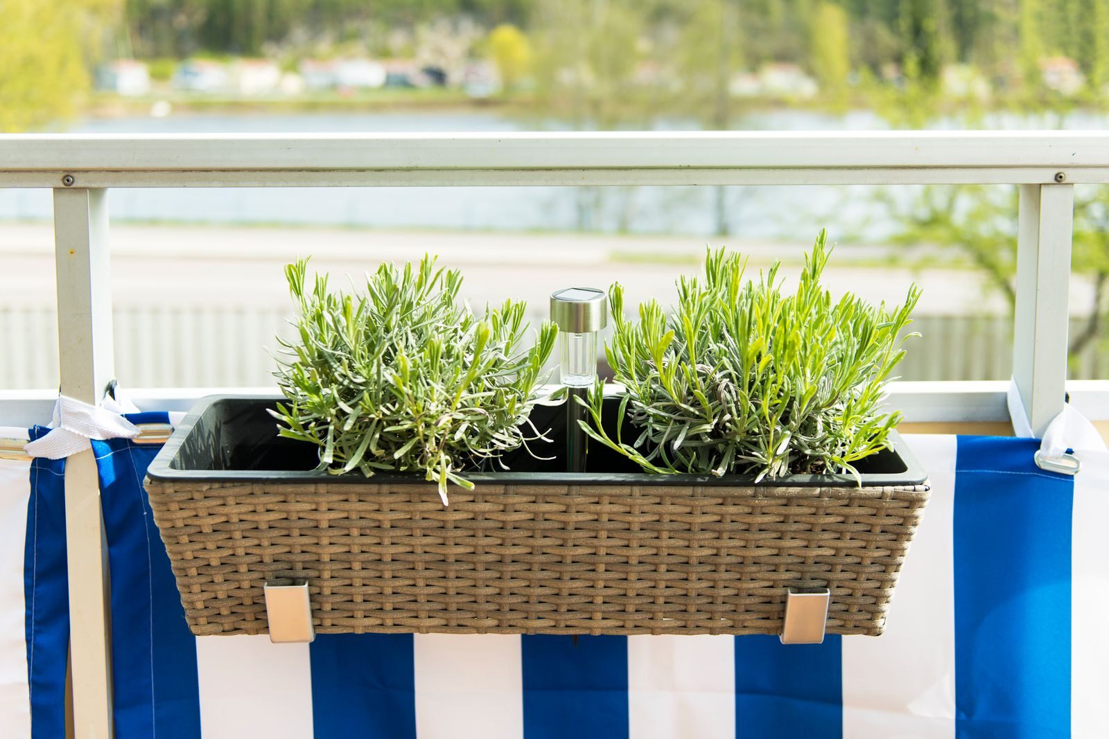 vicks plant balcony with small fan