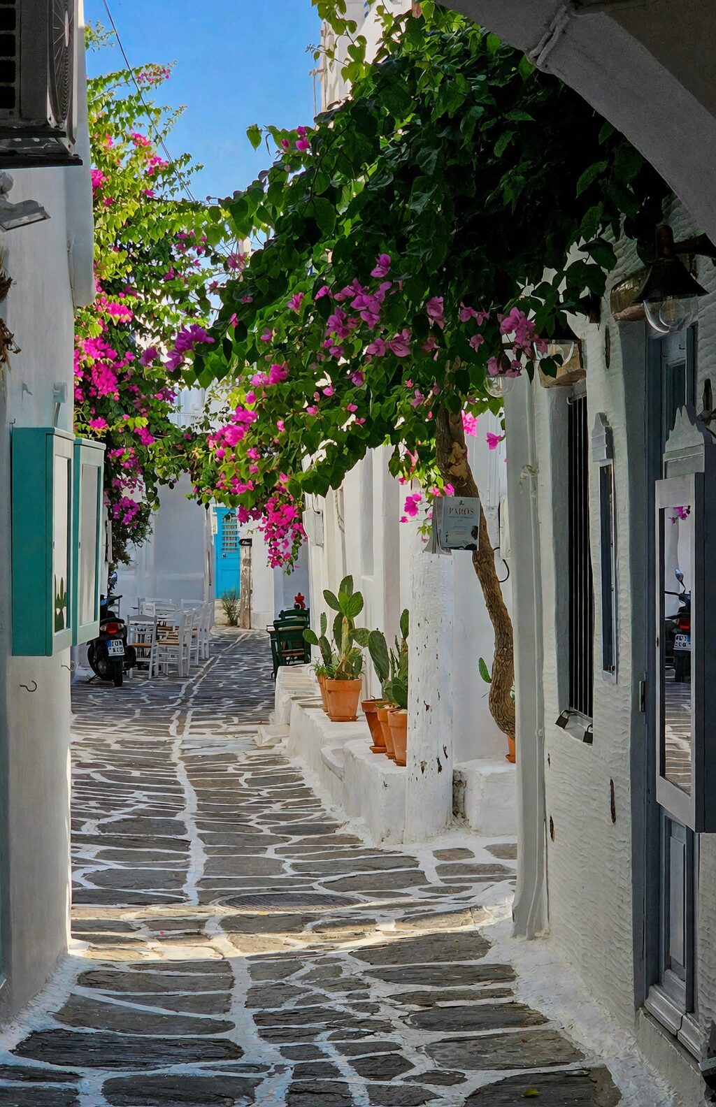 bougainvillea storefront arch Asia street