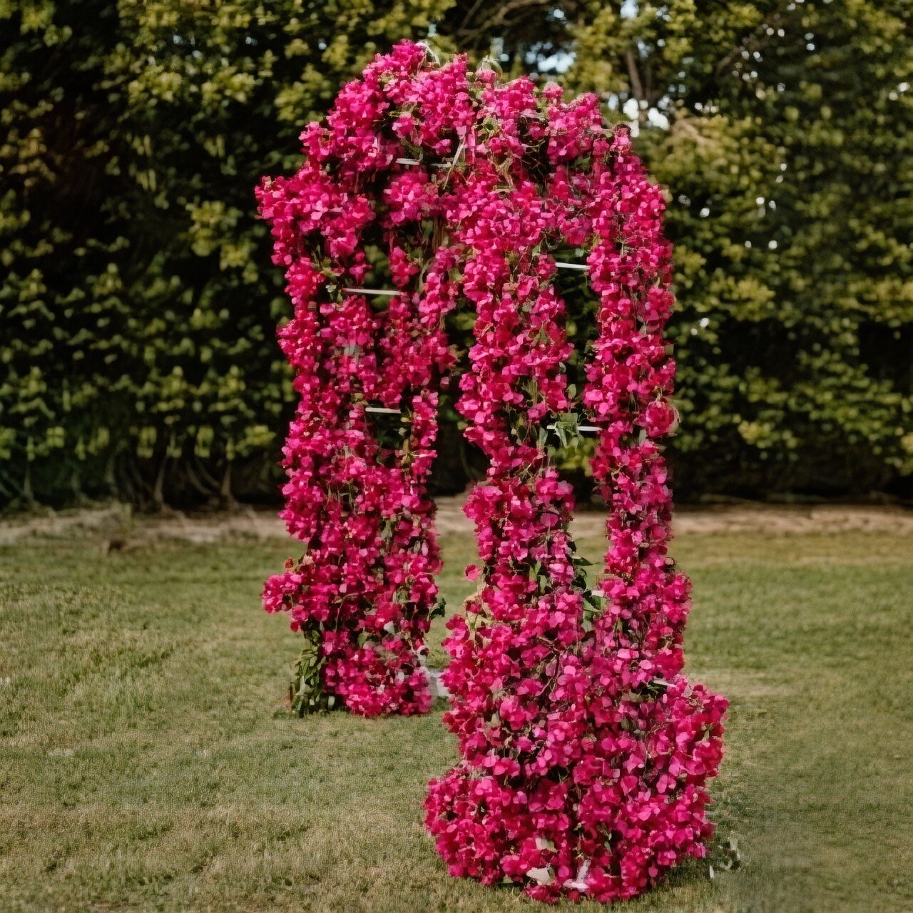 bougainvillea wedding arch backlit