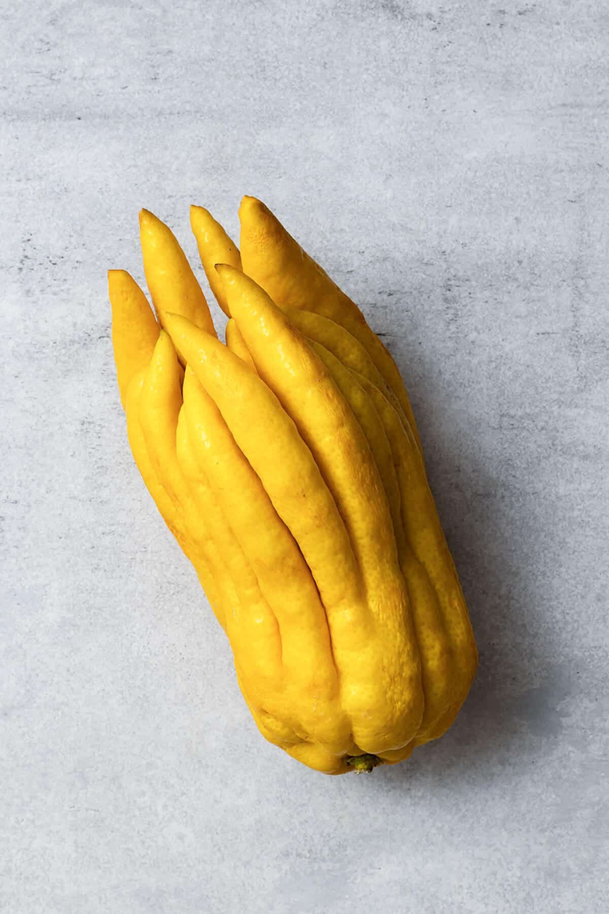 buddha's hand citron rind pressed