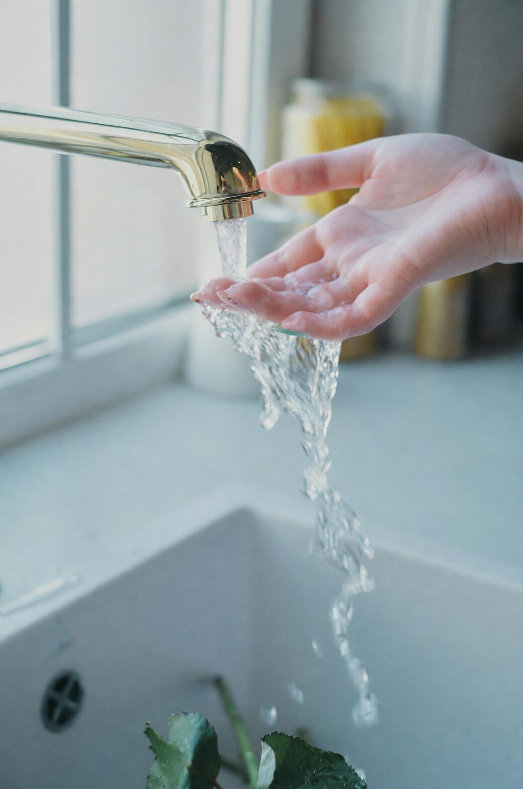 buddha's hand washing under tap