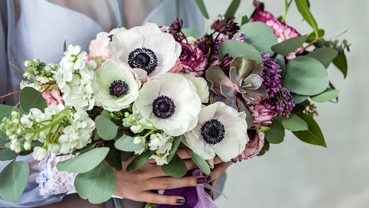 anemone coronaria cut flower bouquet