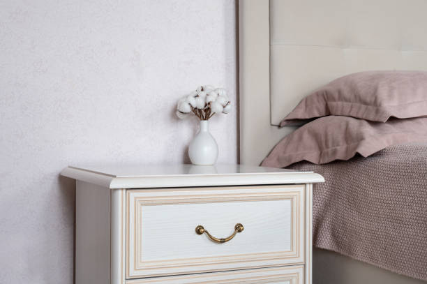 earth star bromeliad bedside table