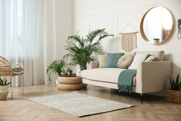 sago palm on high shelf living room