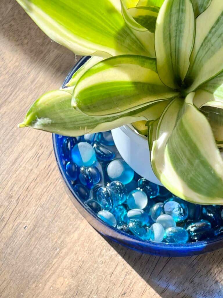 Persian violet pebble tray fan