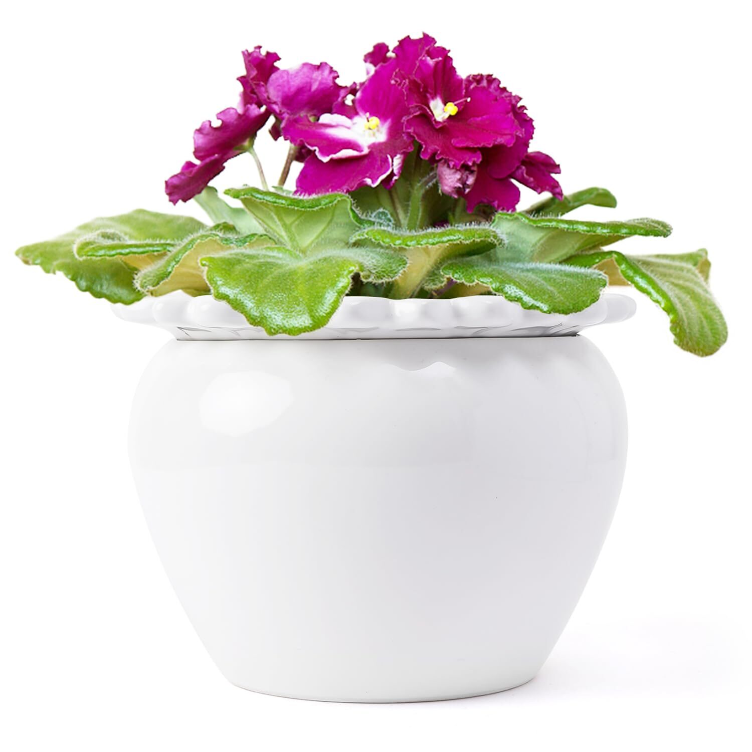 Persian violet white ceramic pot desk
