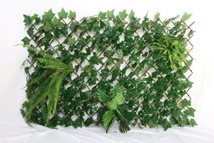 English ivy cable trellis wall