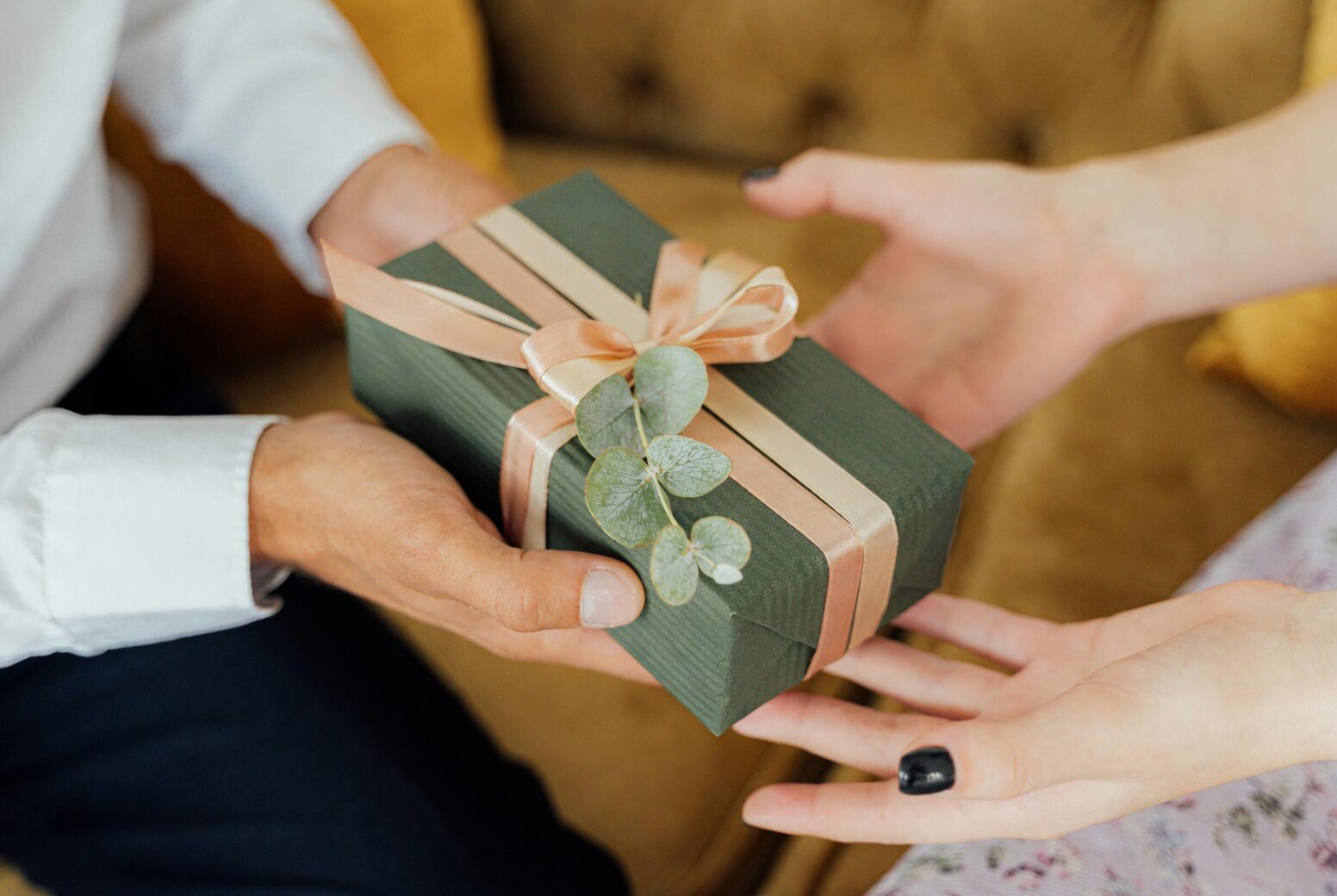 watermelon peperomia gift wrapping hands