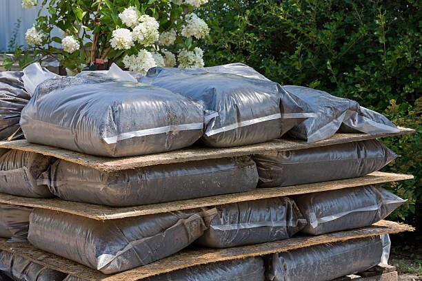 podocarpus repotting soil mix
