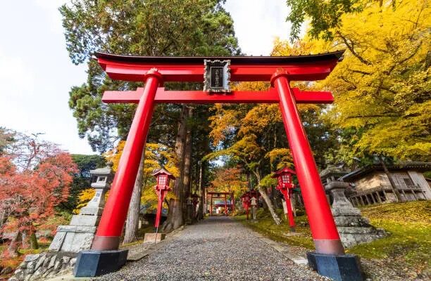 buddhist temple gate podocarpus