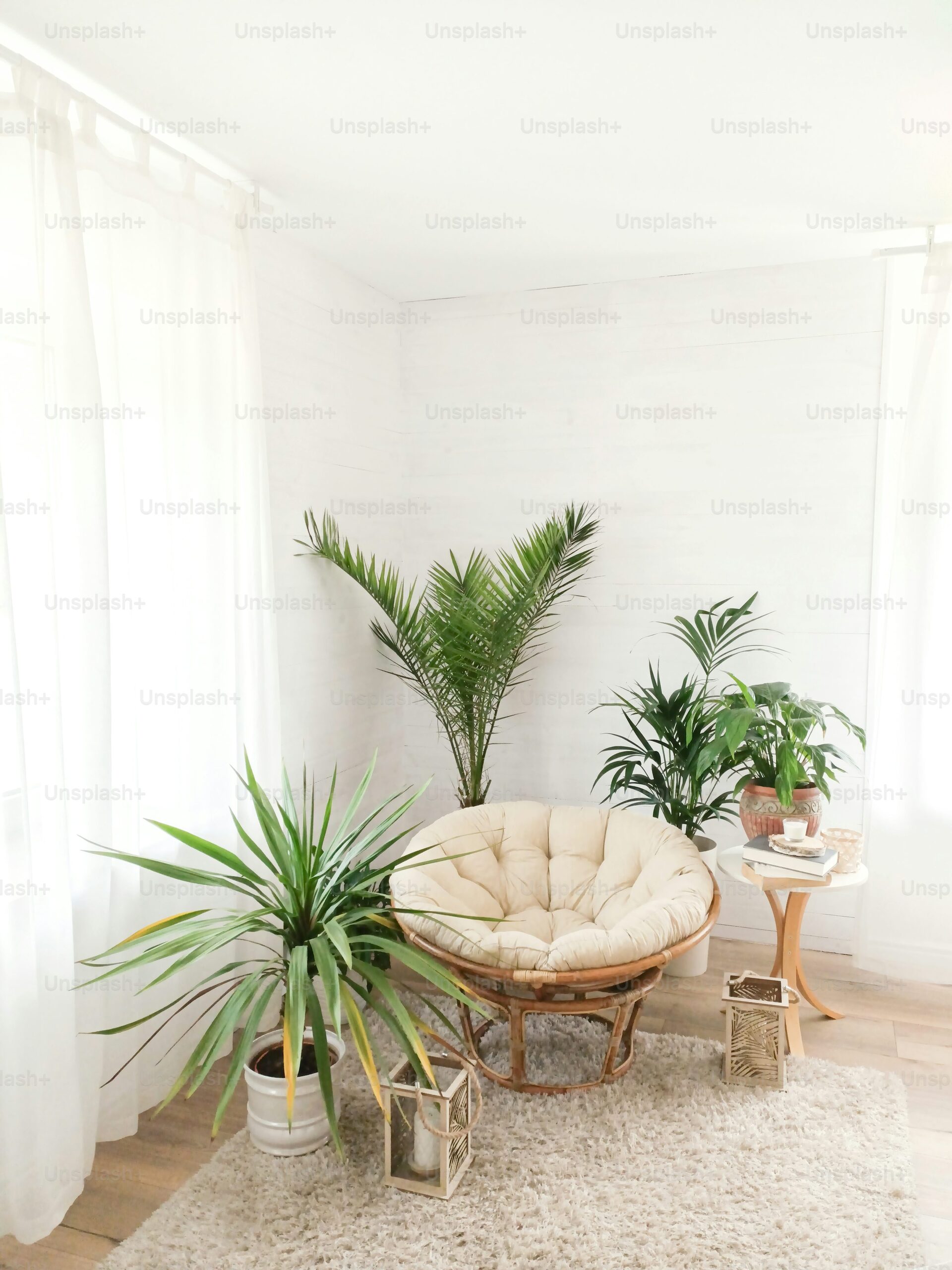 podocarpus pair entryway decor
