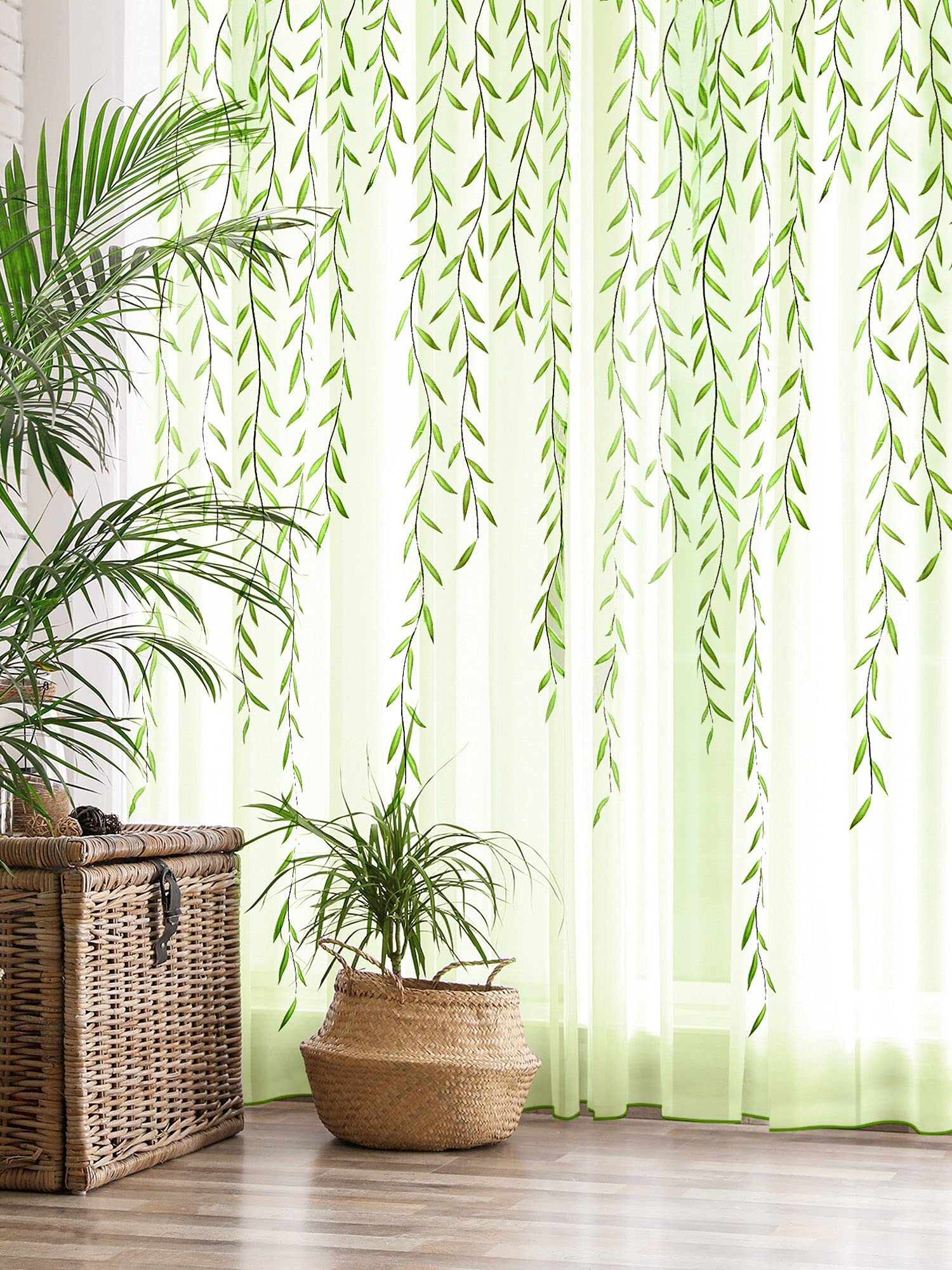 podocarpus tall planter sheer curtain