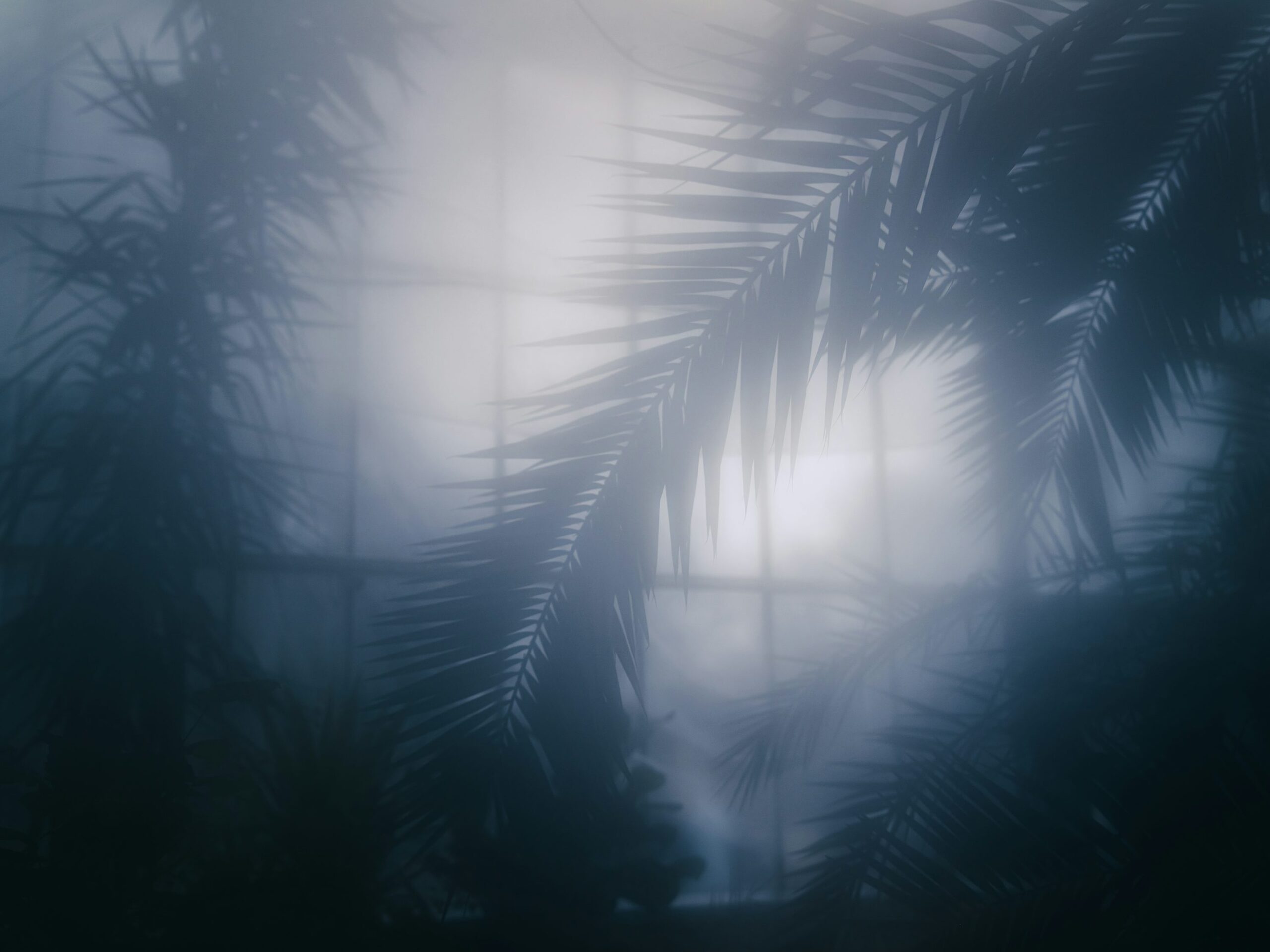cardboard palm window bright light