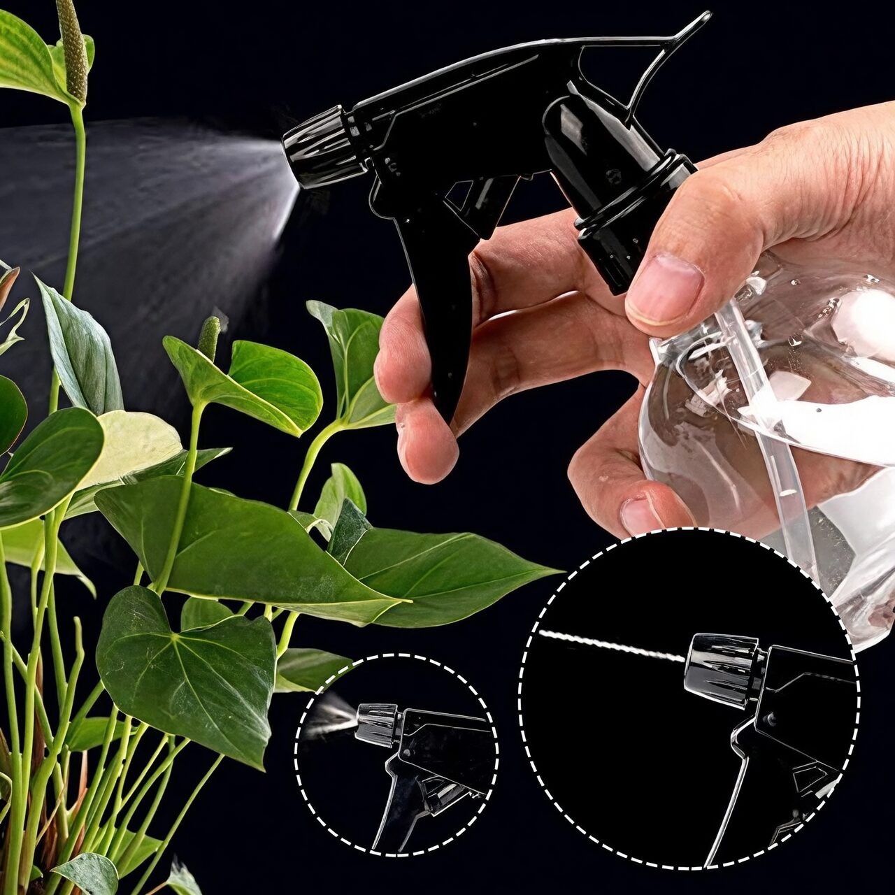 pteris cretica misting spray bottle