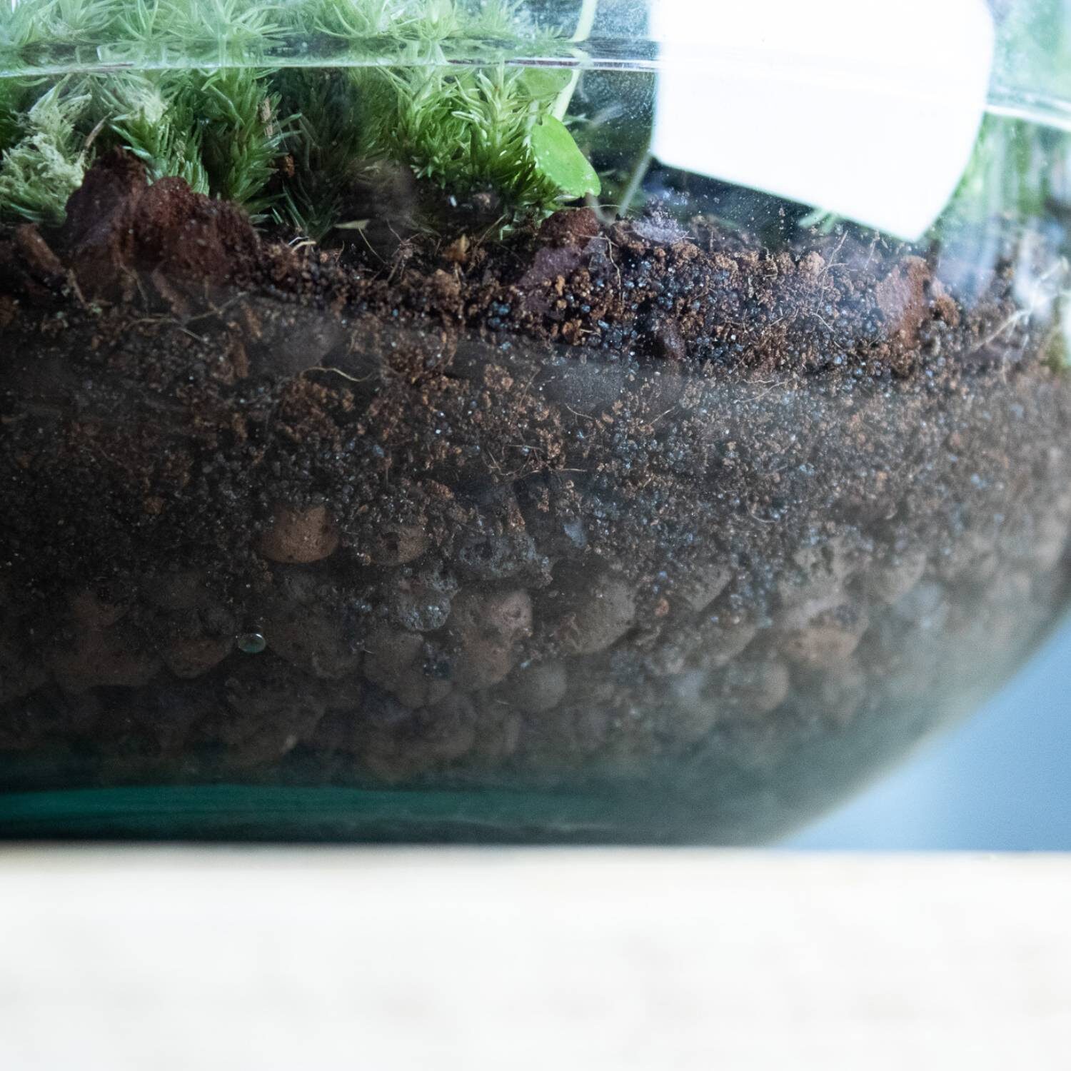 terrarium substrate layers cross section
