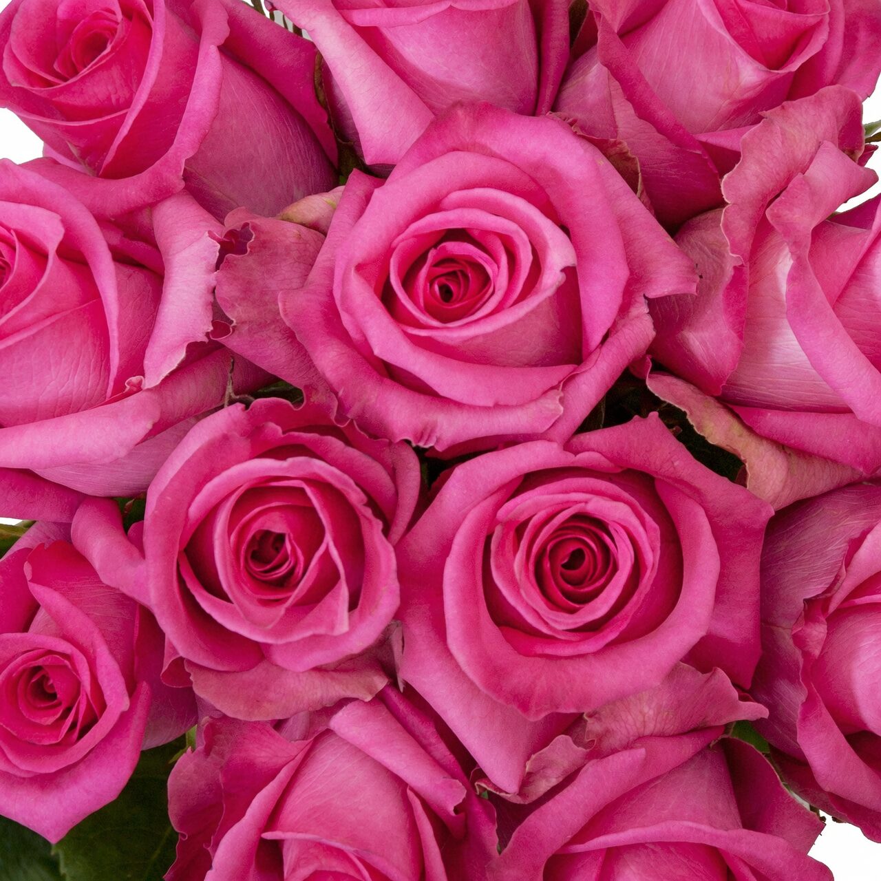 Rosa hybrida assorted colors bouquet