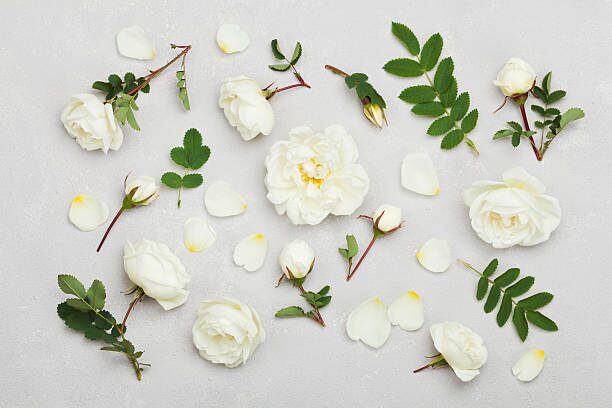 rose colors arrangement flat lay