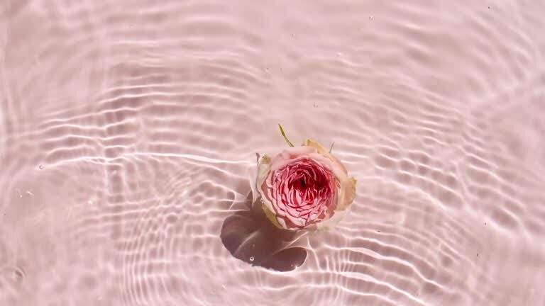 rose stems in deep water