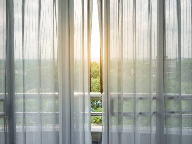 tuberous begonia sheer curtain reflector