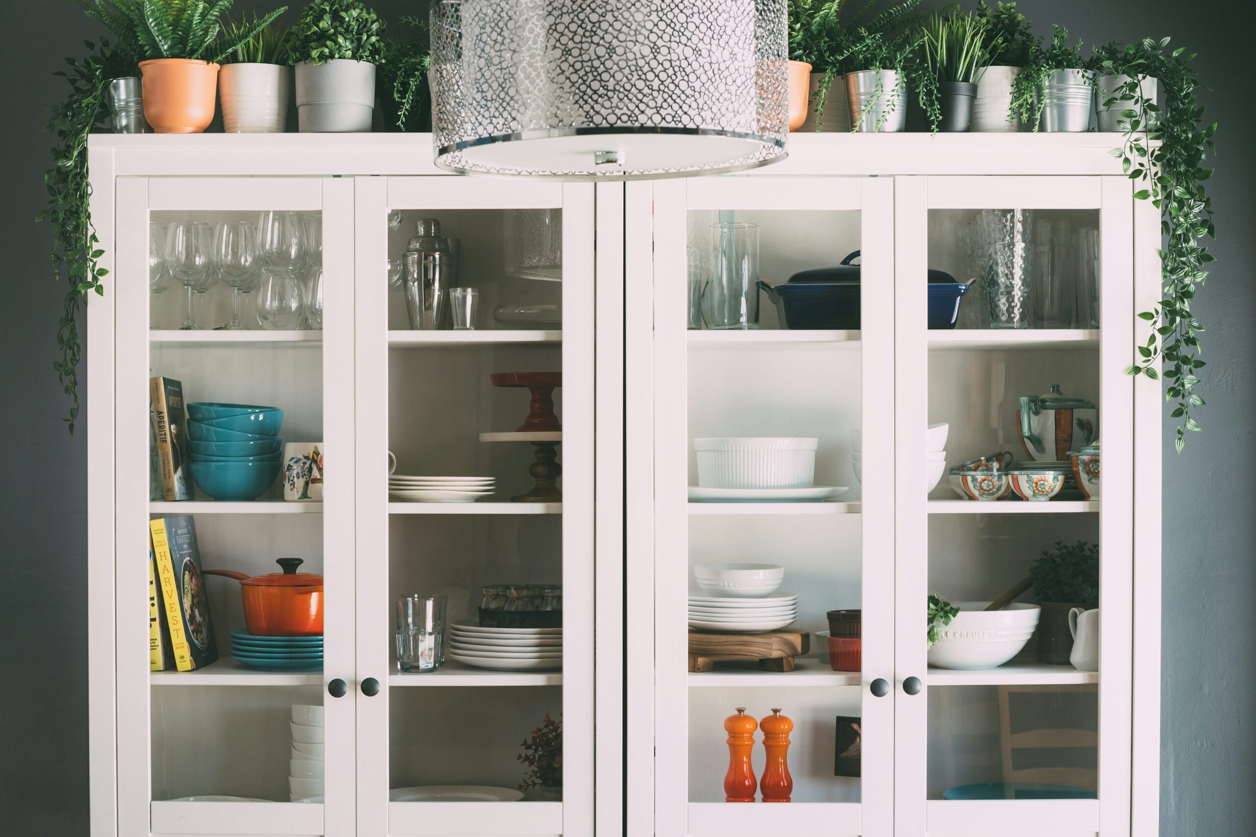tuberous begonia glass display cabinet