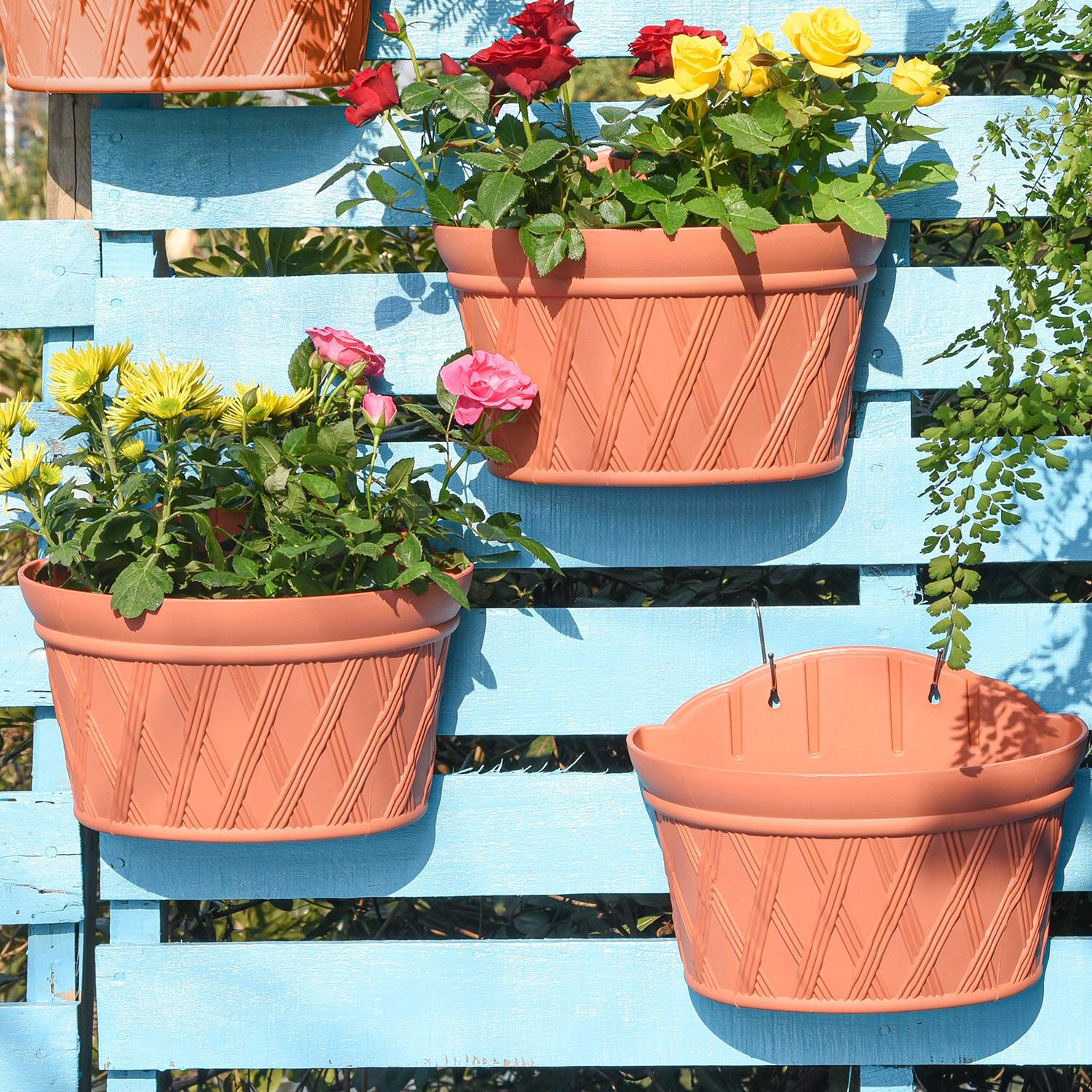 verbena hanging basket balcony