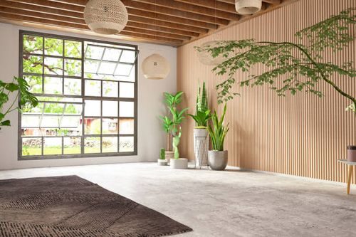 aspidistra living room corner